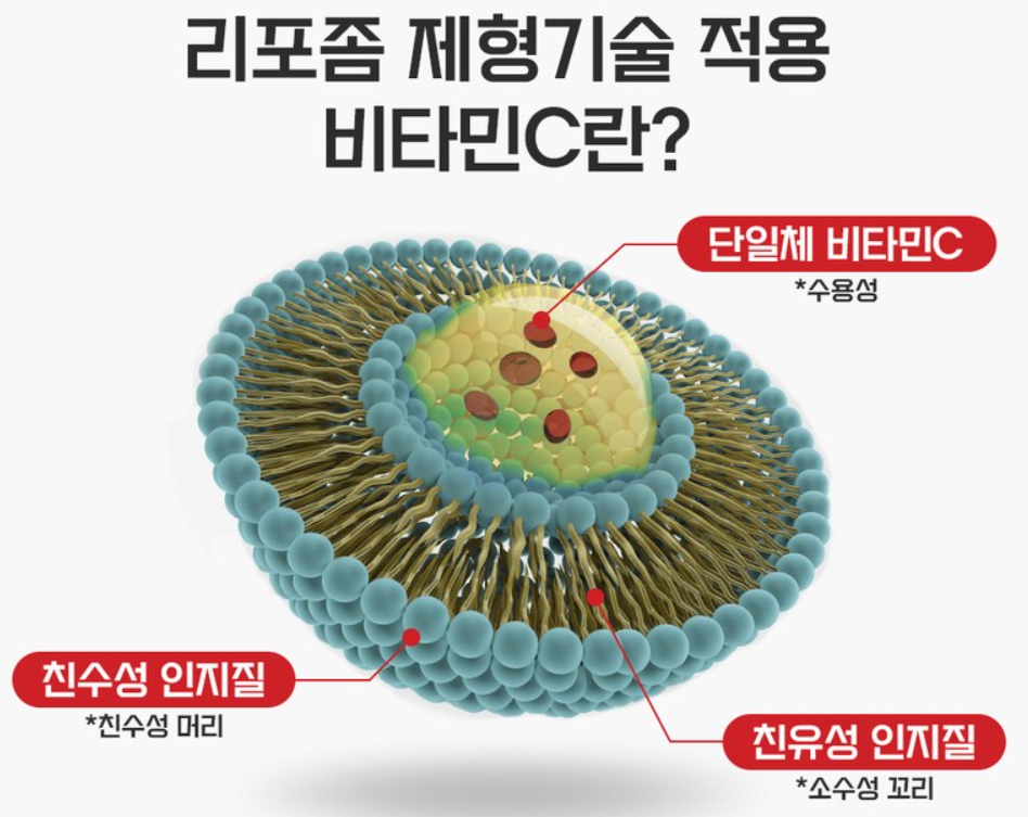 리포좀 제형기술 설명 이미지