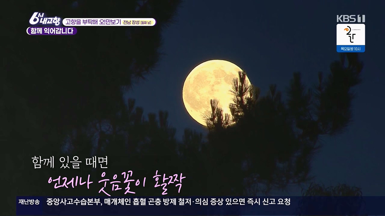 6시 내고향.E7922.231129p.H264-F1RST.mp4_20231129_203838.053.jpg
