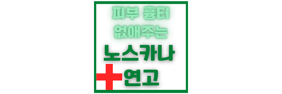  노스카나 연고  여드름 치료 효과 및 가격과 사용법