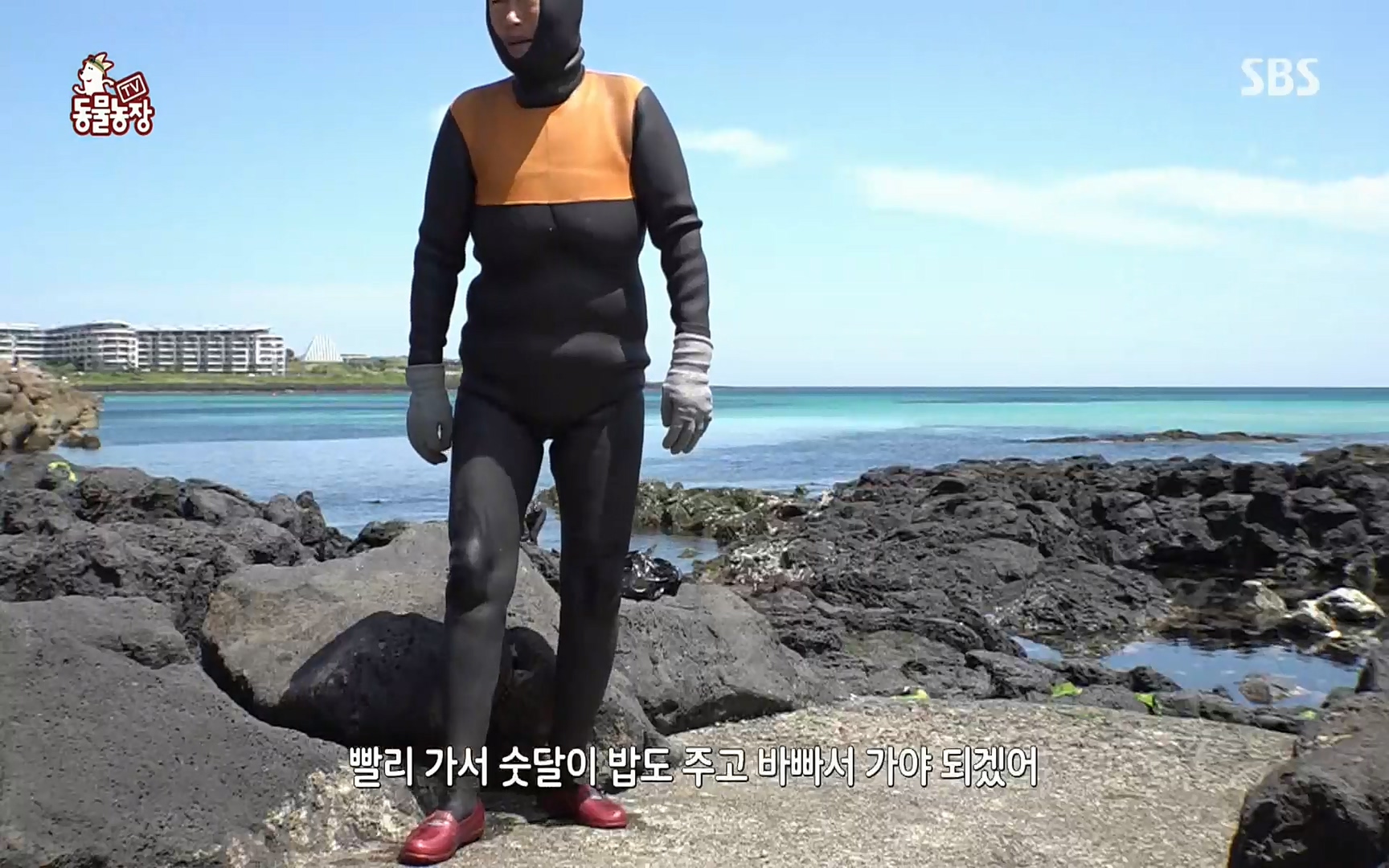 TV 동물농장.E1073.220612p.H264-F1RST.mp4_20220612_180441.669.jpg