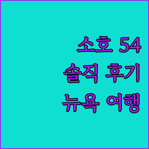 뉴욕 여행객 필독 소호 54 호텔 솔