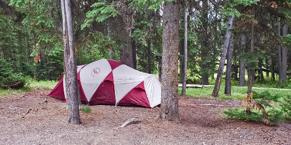 Bridge Bay Campground