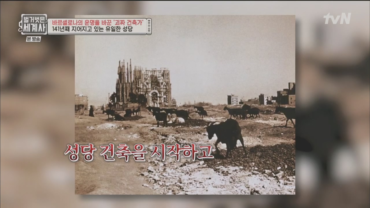 벌거벗은 세계사.E100.230524p.H264-F1RST.mp4_20231203_150714.737.jpg