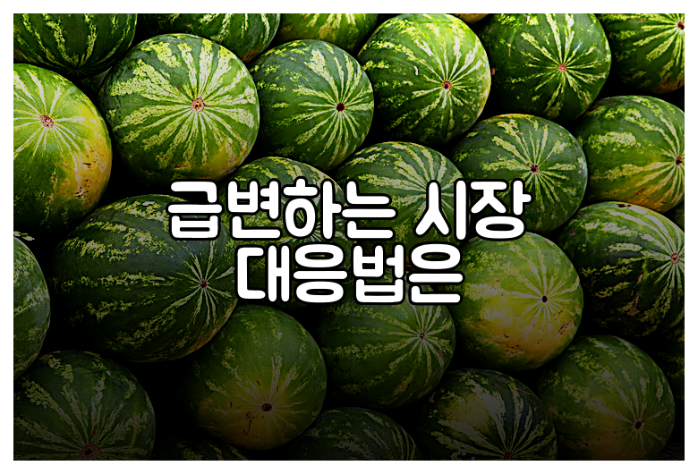 급변하는 시장 대응법은
