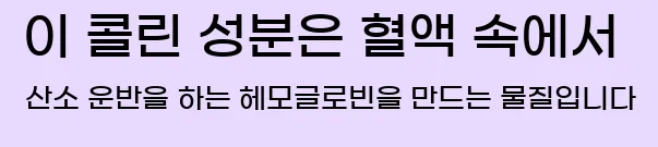  이 콜린 성분은 혈액 속에서 산소 운반을 하는 헤모글로빈을 만드는 물질입니다