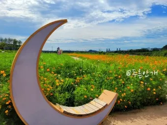 5월 수도권 꽃구경 꽃축제 10선_20