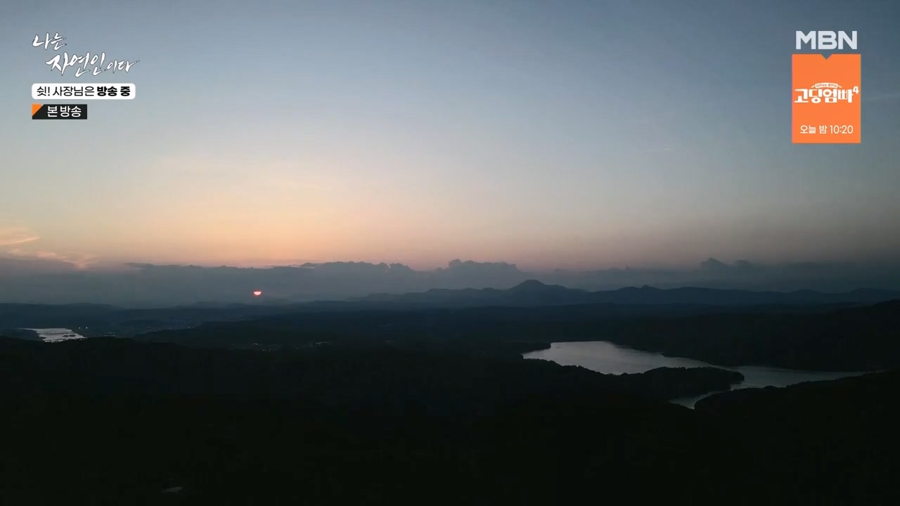 나는 자연인이다.E573.230928p-NEXT.mp4_20230929_174824.777.jpg