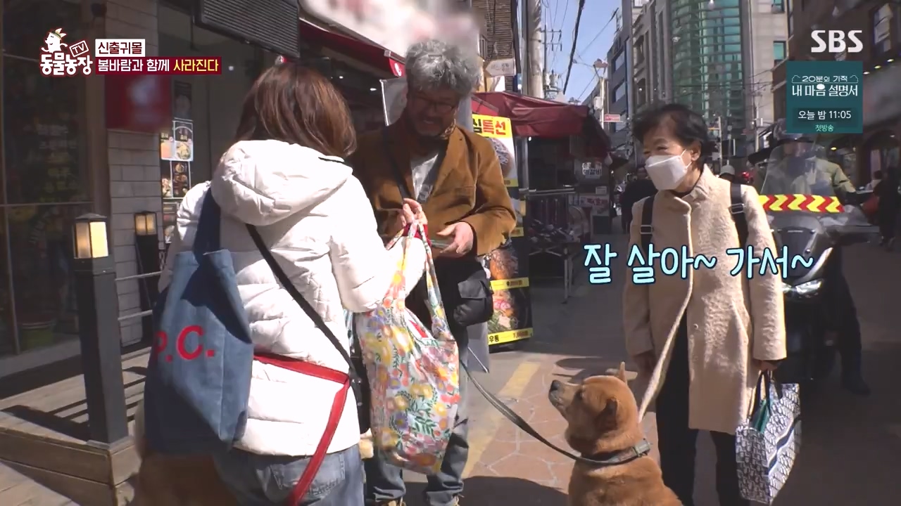 TV 동물농장.E1171.240513p-NEXT.mp4_20240512_163325.338.jpg