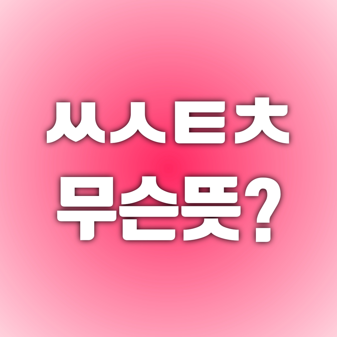  ㅆㅅㅌㅊ 무슨뜻 인가요?