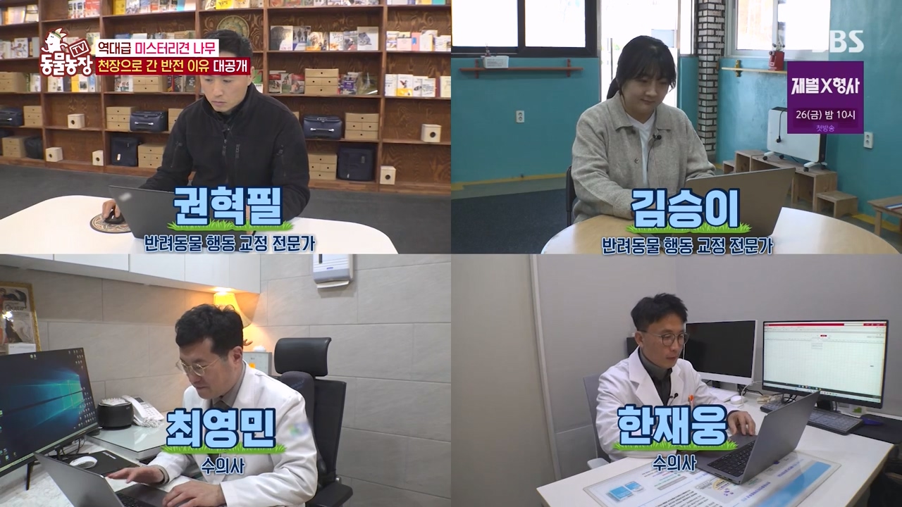 TV 동물농장.E1154.240115p-NEXT.mp4_20240114_181920.855.jpg