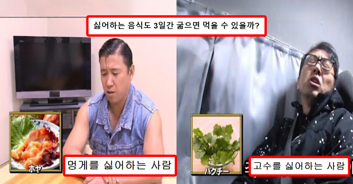  싫어하는 음식도 3일간 굶으면 먹을 수 있을까?
