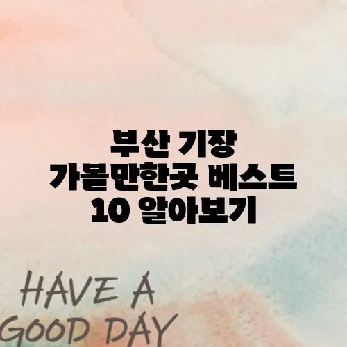 부산 기장 가볼만한곳 베스트 10 알아보기