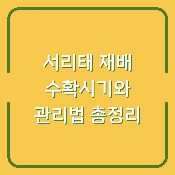 서리태 재배 수확시기와 관리법 총정리