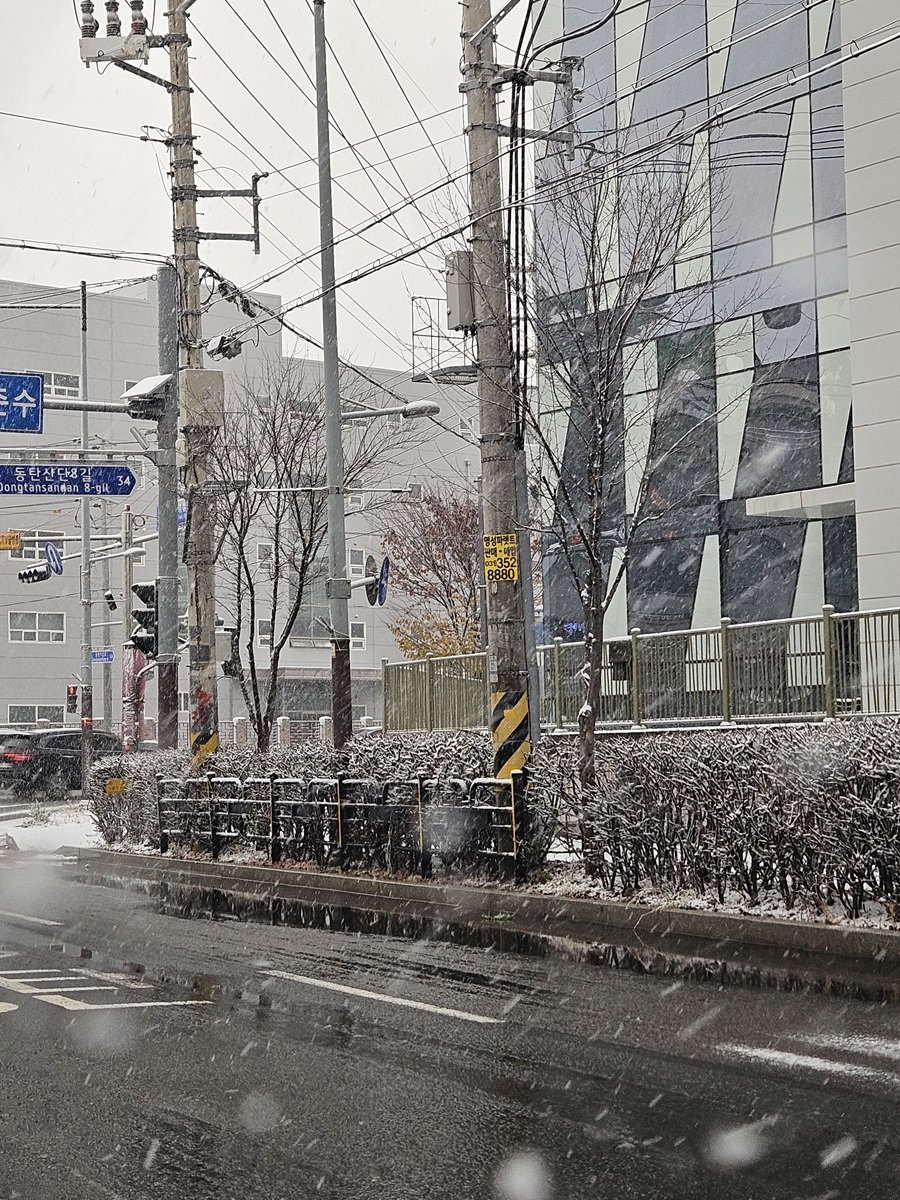 눈오는날도로