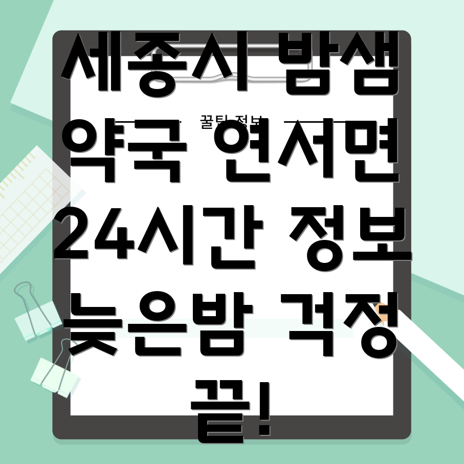 세종시 24시간 약국