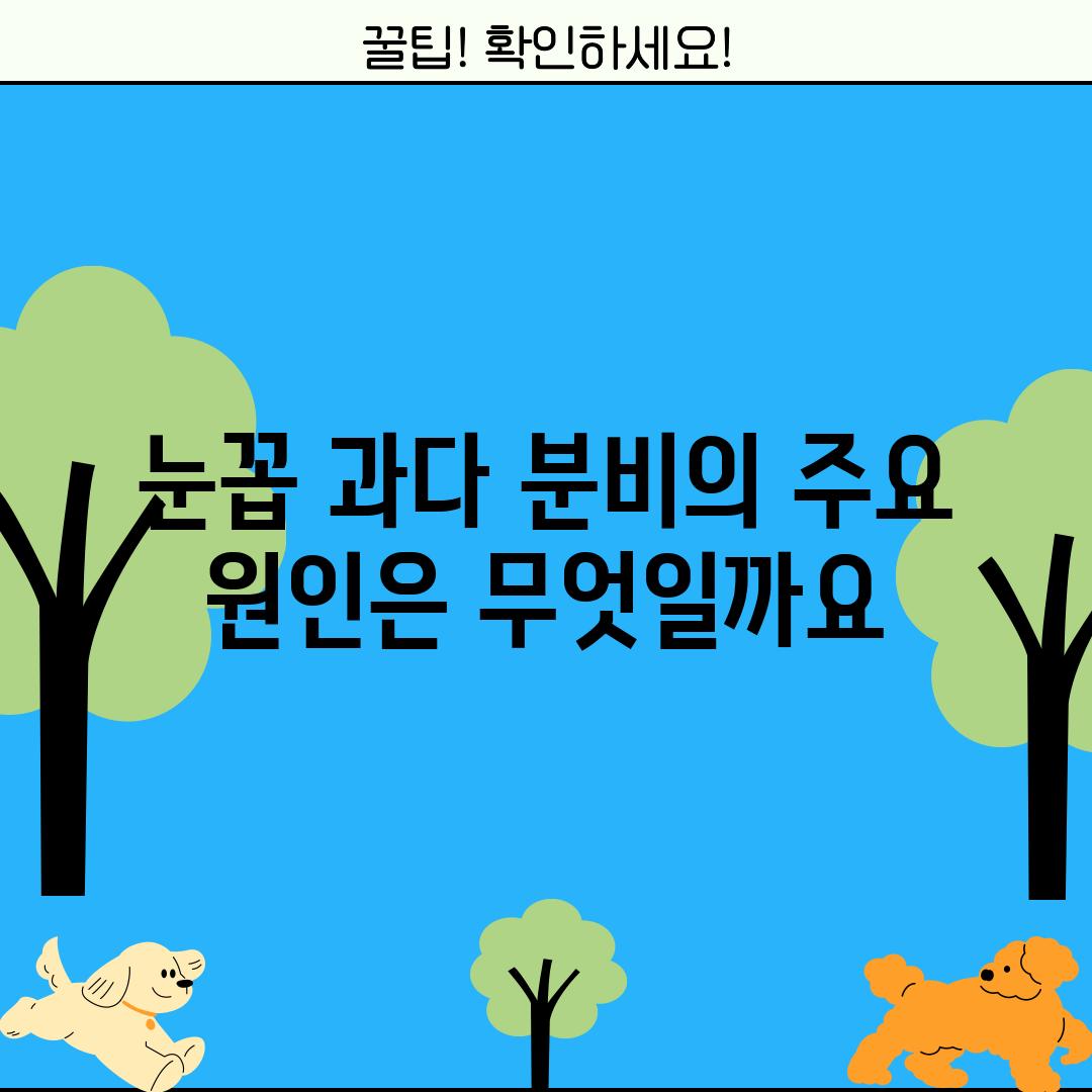 눈꼽 과다 분비의 주요 원인은 무엇일까요?