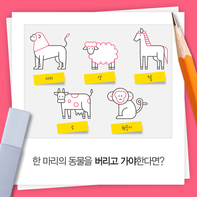  [심리테스트] 한마리의 동물을 포기해야 한다면?? 동물로 보는 당신의 성향