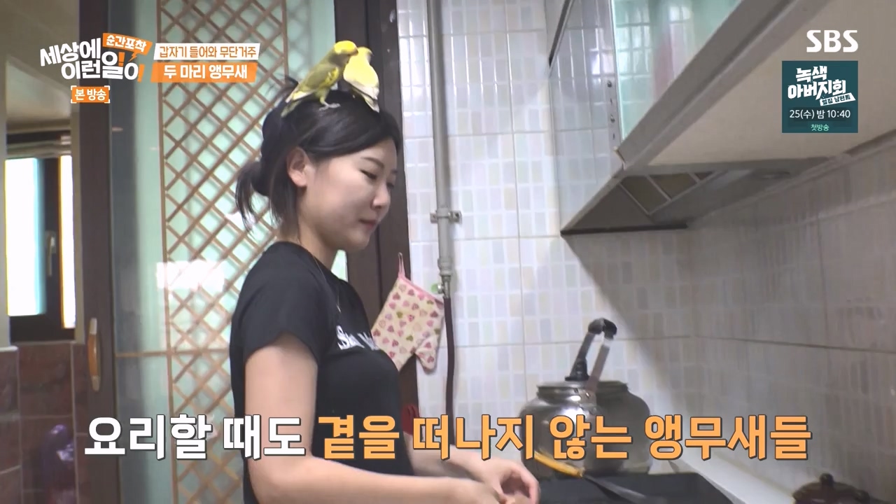 순간포착 세상에 이런일이.E1248.231015p-NEXT.mp4_20231015_164752.851.jpg
