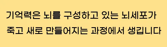  기억력은 뇌를 구성하고 있는 뇌세포가 죽고 새로 만들어지는 과정에서 생깁니다