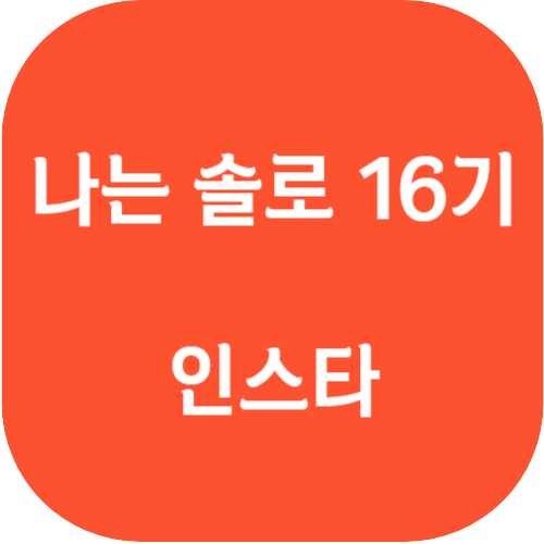  나는 솔로 16기 출연자 영철 영호 광수 상철 영식  옥순 영자 정숙 순자 영숙 현숙 특징 이상형  인스타 직업 나이
