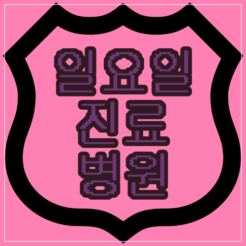  대구광역시 일요일 진료 병원과 진료시간