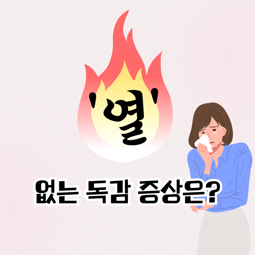 열이 나지 않는 독감 증상, 알아두세요!(열 없는 독감도 있다고 합니다ㅠㅠ)