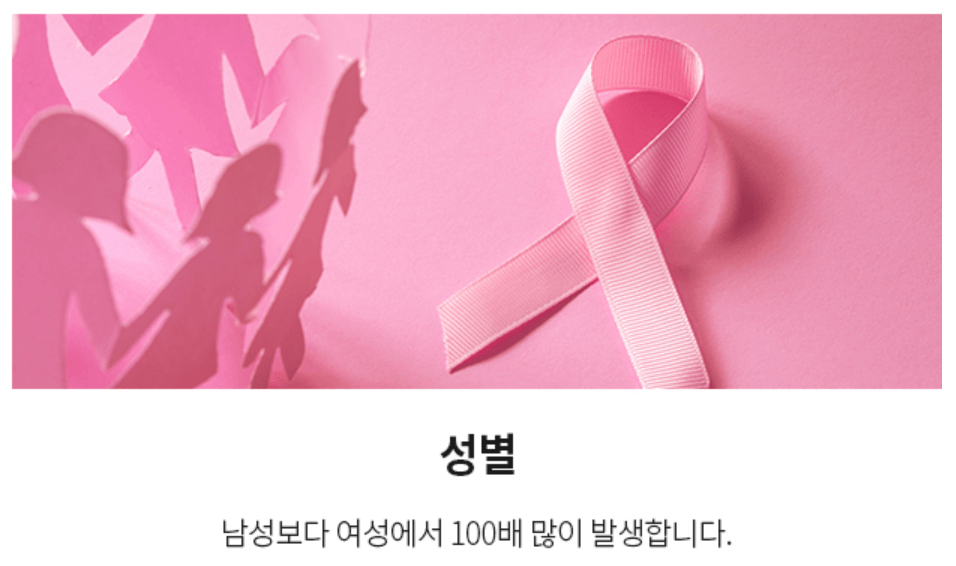 유방암 초기증상 검사비용 유방암 자가진단