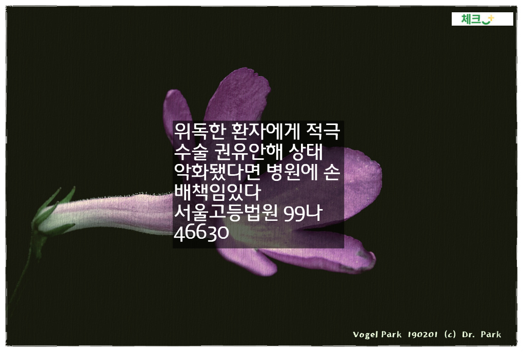 위독한 환자에게 적극 수술 권유안해 상태 악화됐다면 병원에 손배책임있다