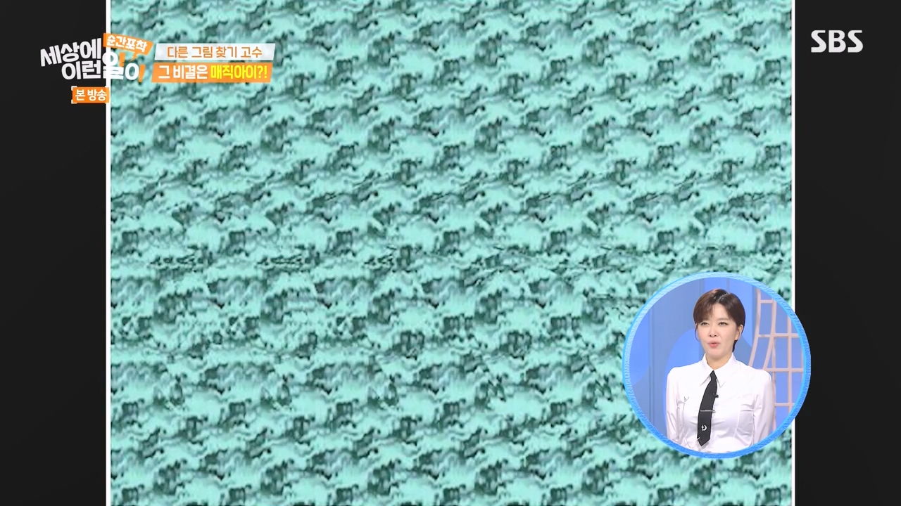 순간포착 세상에 이런일이.E1251.231105p-NEXT.mp4_20231105_172823.238.jpg