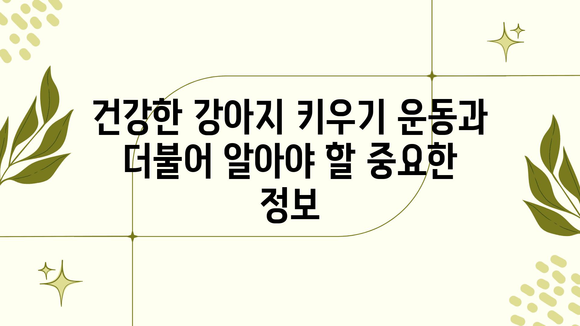 건강한 강아지 키우기 운동과 더불어 알아야 할 중요한 정보