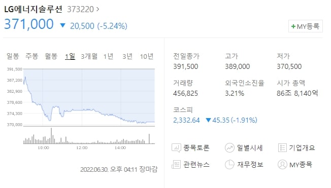  (373220)LG에너지솔루션 주가전망 LG엔솔 하락 LG에너지솔루션 하락