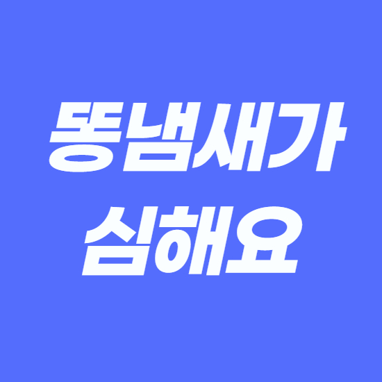  똥냄새가 심해요 심한이유 원인분석