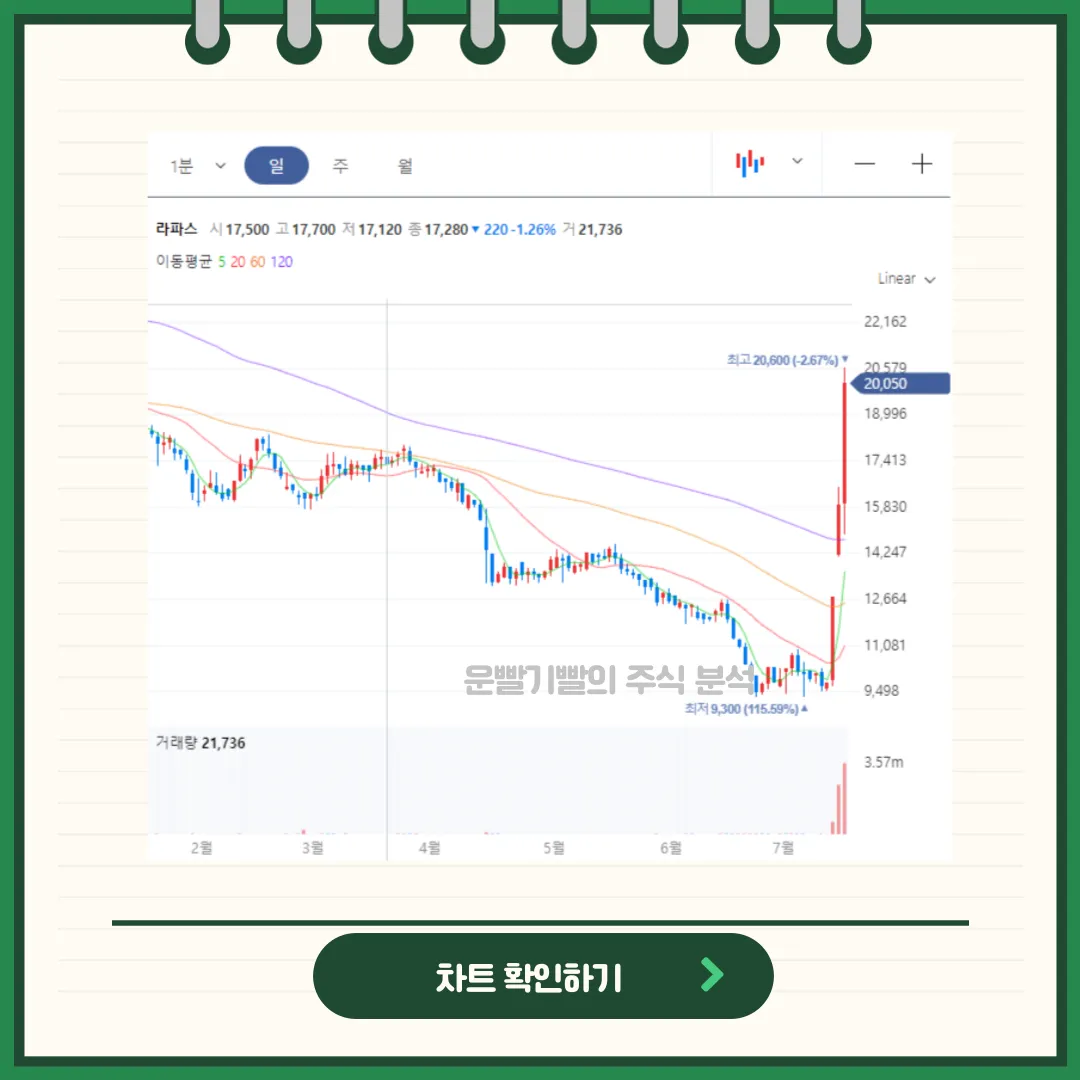 라파스 차트분석