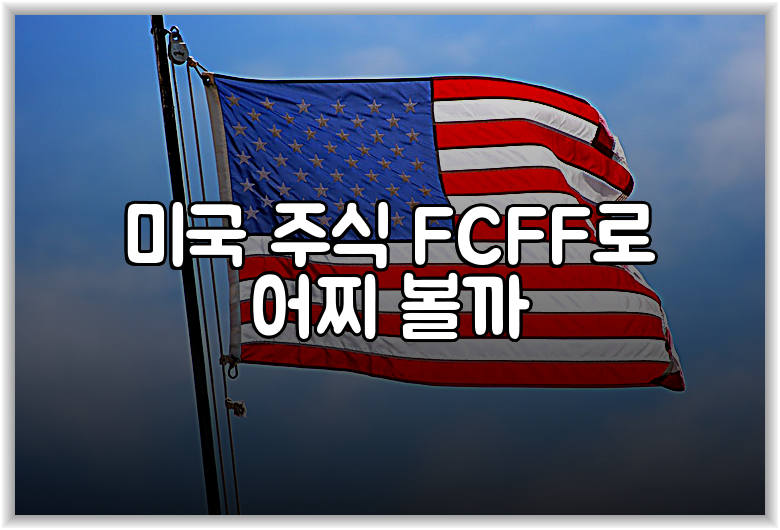 미국 주식 FCFF로 어찌 볼까