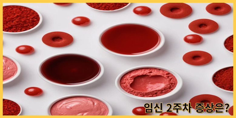 임신 2주차