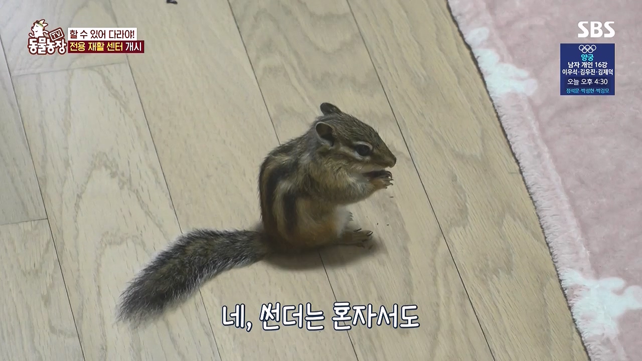 TV 동물농장.E1183.240805p-NEXT.mp4_20240804_154953.285.jpg