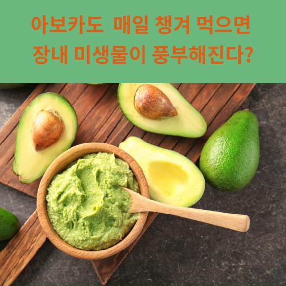  아보카도 매일 챙겨 먹으면 장 내 미생물이 풍부해진다?