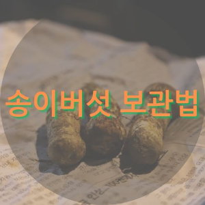 송이버섯 보관법