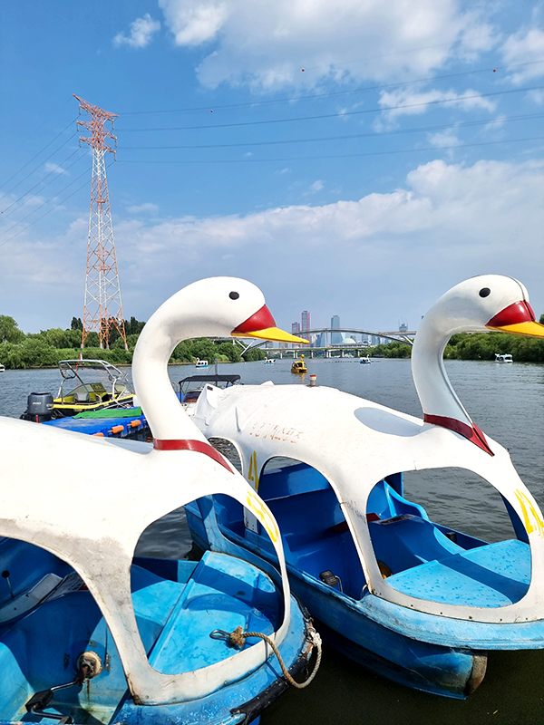 한강바베큐 이미지