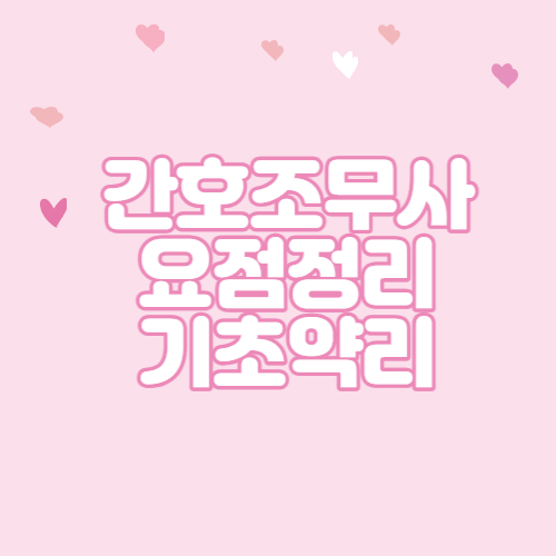  간호조무사 요점정리 기초약리편