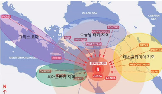 새창조 이미지