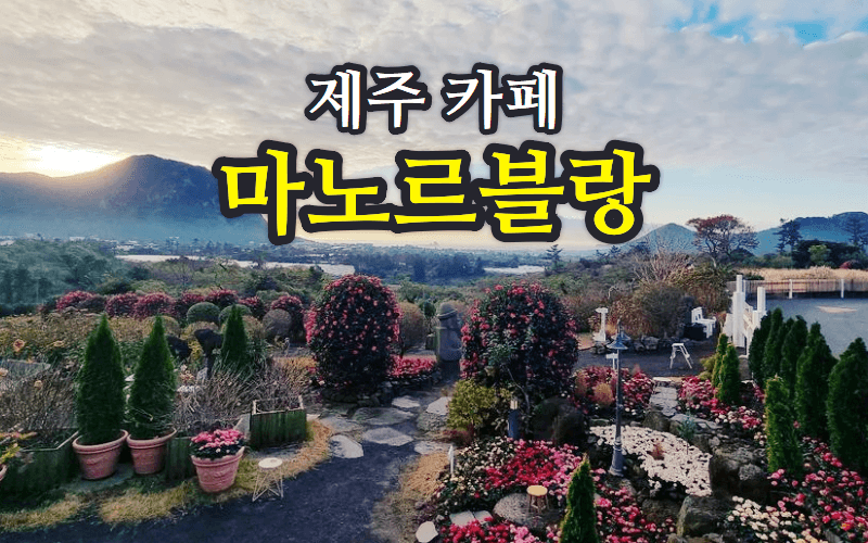 2023 제주도 마노르블랑 봄에 꽃향기축제 기본정보(위치&#44; 주소&#44; 전화번호). 카페 한라봉 메뉴 및 가격