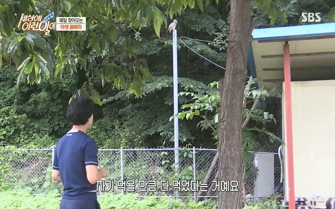 순간포착 세상에 이런일이.E1189.220720p-NEXT.mp4_20220720_200919.697.jpg
