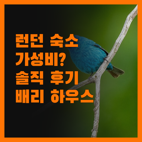 배리 하우스 호텔, 런던 여행 가성비