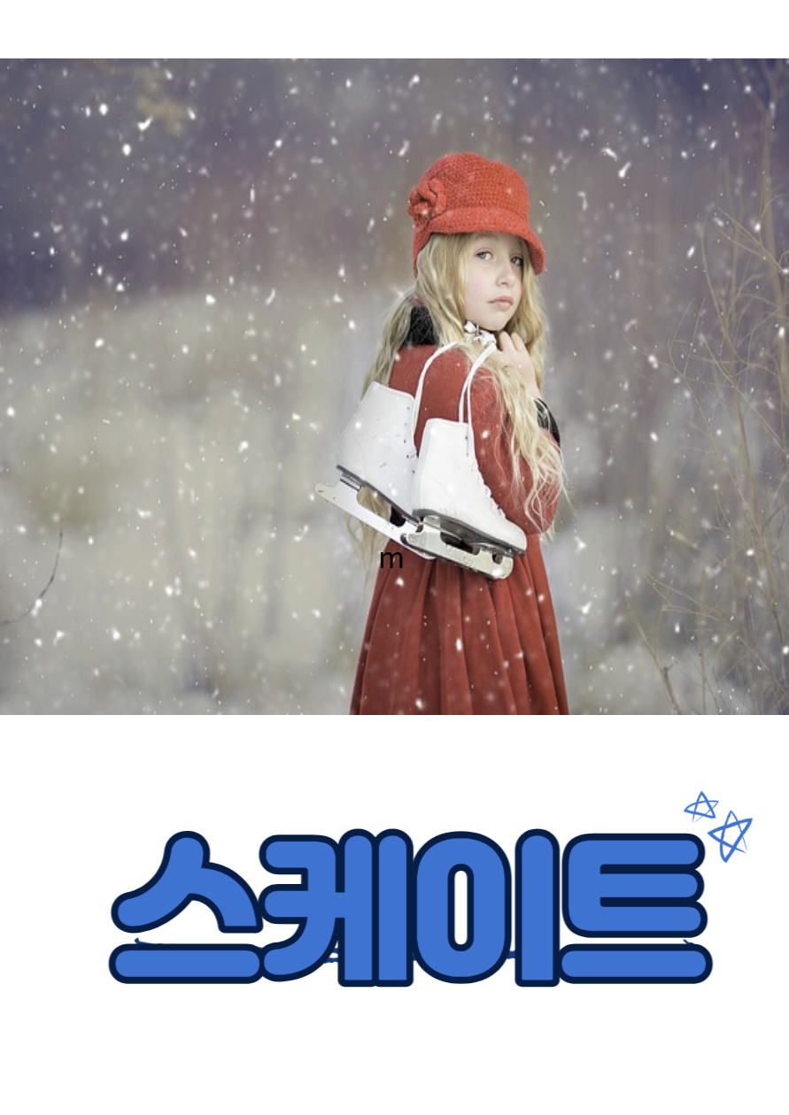 서울시청_스케이트장_기본정보