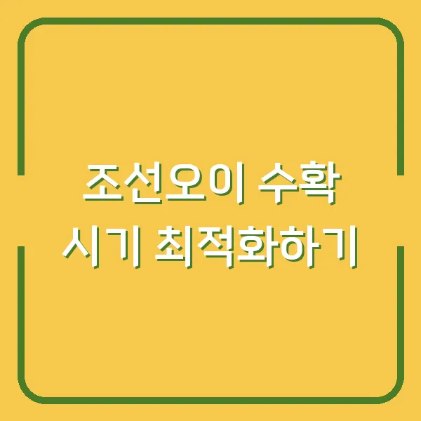 조선오이 수확 시기 최적화하기