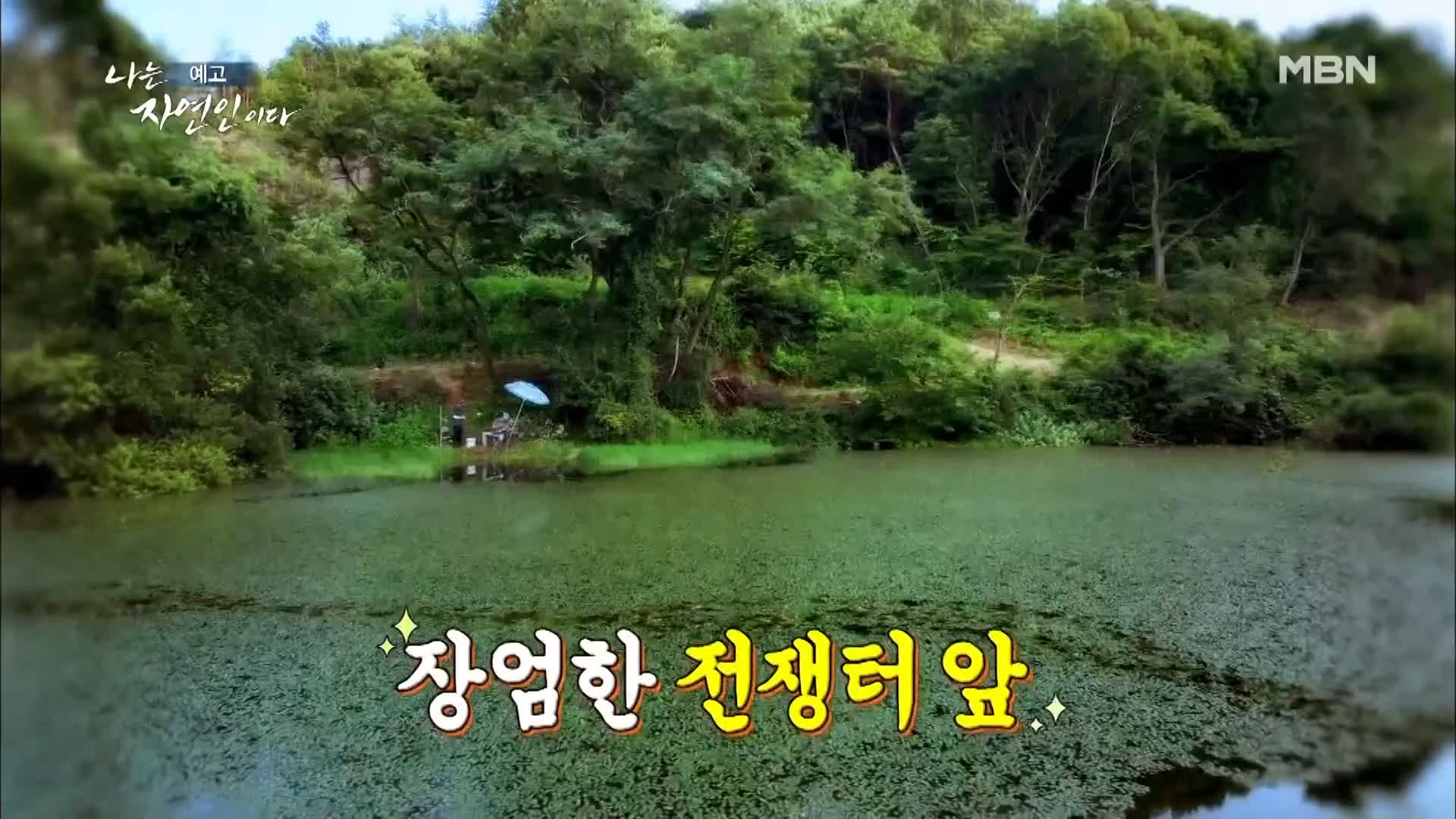 이승윤 윤택 나는 자연인이다 515회 울화로 가득찼던 지난날의 자신과 화해하며 사는 산골 자연인 박세귀 소개 및 출연 다시보기