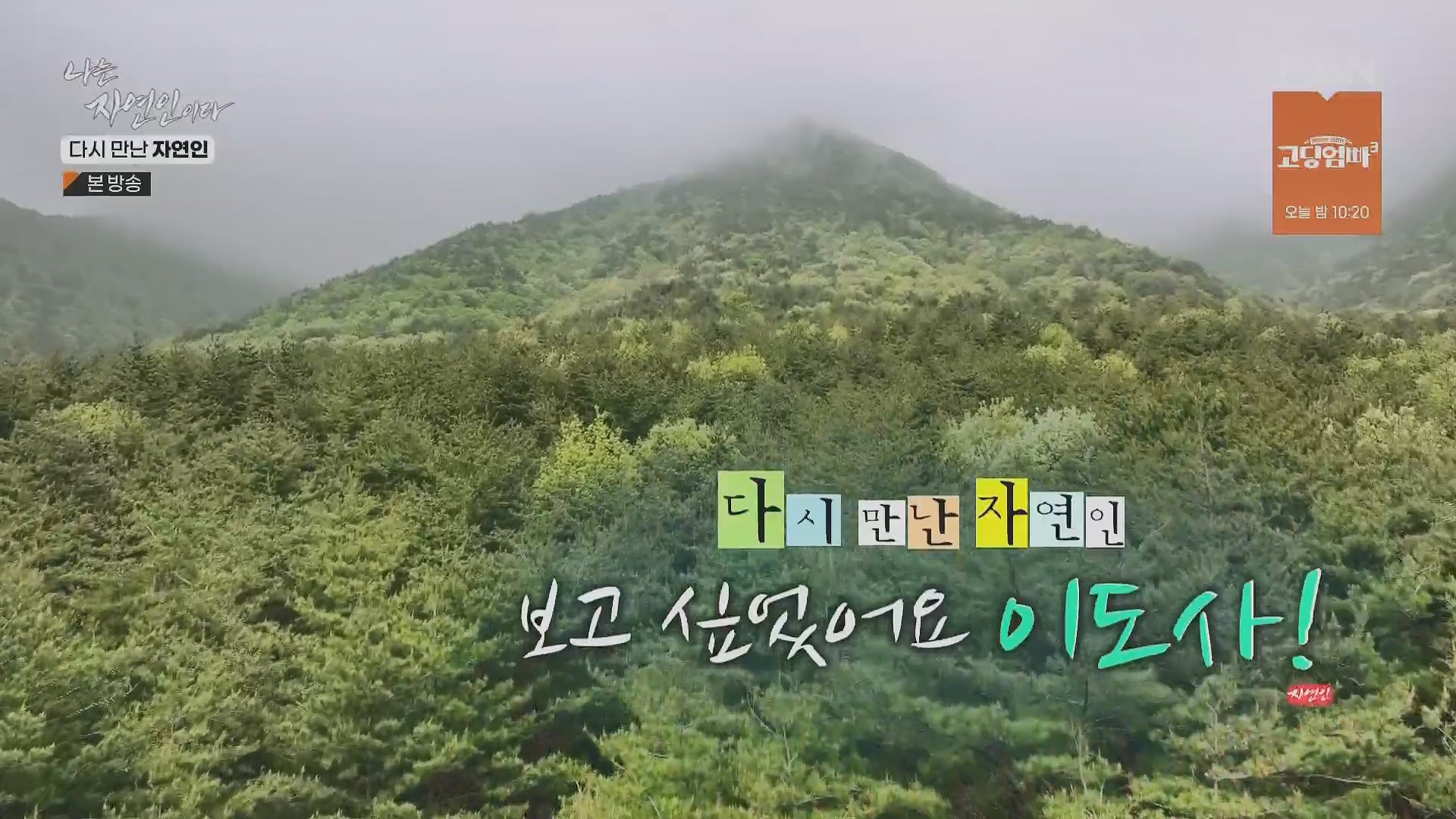 나는 자연인이다.E553.230510p.H264-F1RST.mp4_20230511_192054.195.jpg