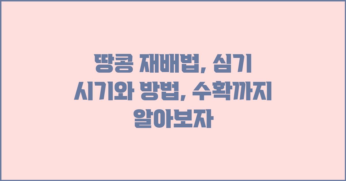 땅콩 재배법: 심기 시기, 심기 방법, 수확 시기
