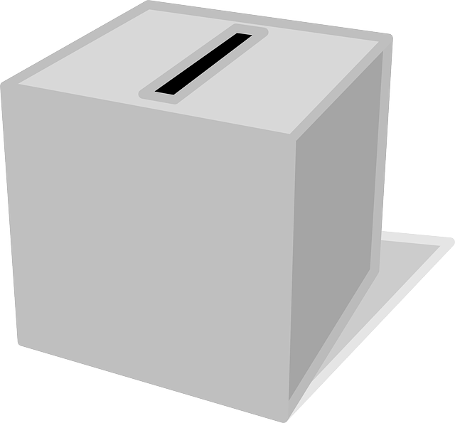 국회의원선거 사전투표소
